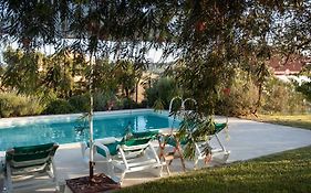 Casa Das Alfazemas Com Piscina, Jardim E Snooker