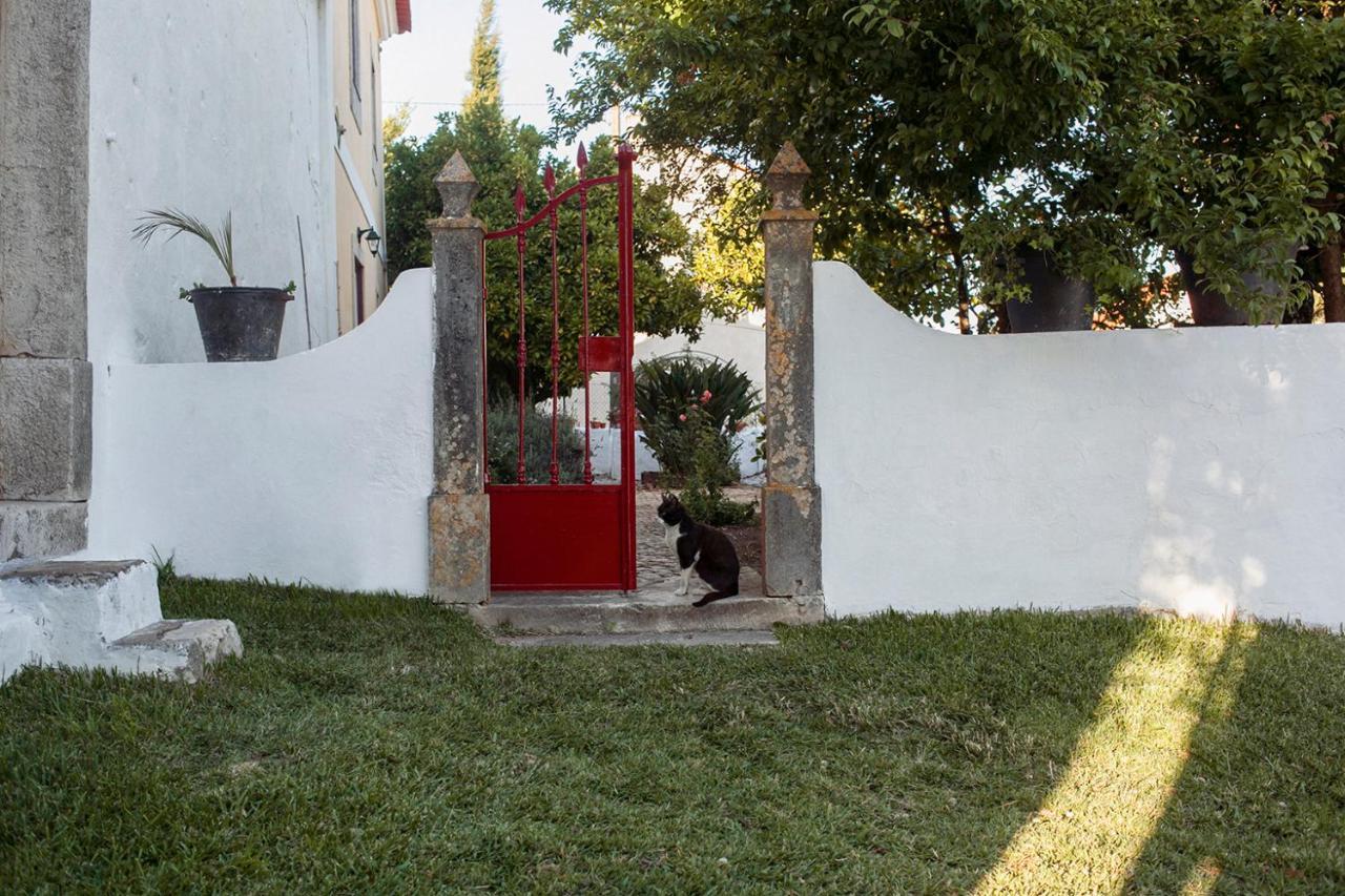 Casa Das Alfazemas Com Piscina, Jardim E Snooker Adao Lobo Exterior foto